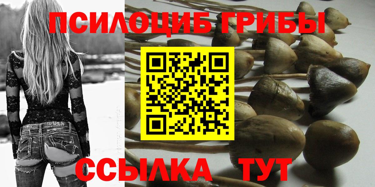 Псилоцибиновые грибы ЛСД  Вход с VPN  Псилоцибиновые грибы Cubensis  Зеленогорск 