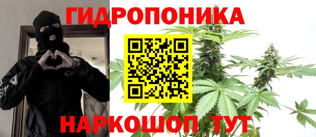 Марихуана Bruce Banner  Вход с VPN  Бошки марихуана Bruce Banner  Зеленогорск 