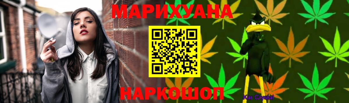 Конопля гибрид Зеленогорск